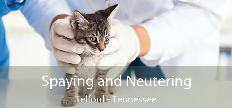 Spaying and Neutering Telford - Tennessee