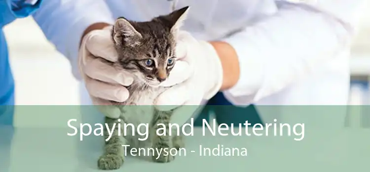 Spaying and Neutering Tennyson - Indiana