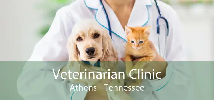 Veterinarian Clinic Athens - Tennessee