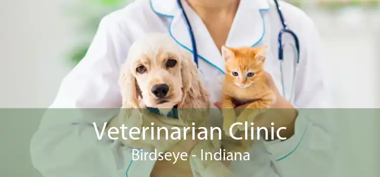 Veterinarian Clinic Birdseye - Indiana