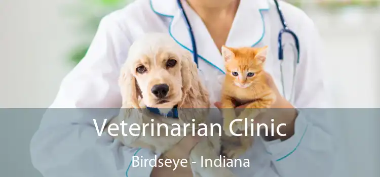 Veterinarian Clinic Birdseye - Indiana