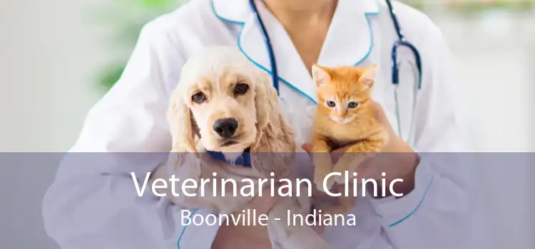 Veterinarian Clinic Boonville - Indiana
