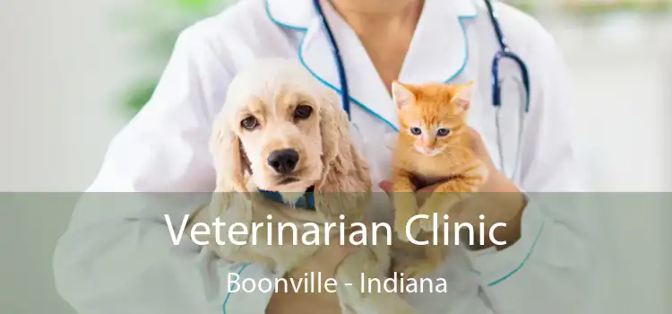 Veterinarian Clinic Boonville - Indiana