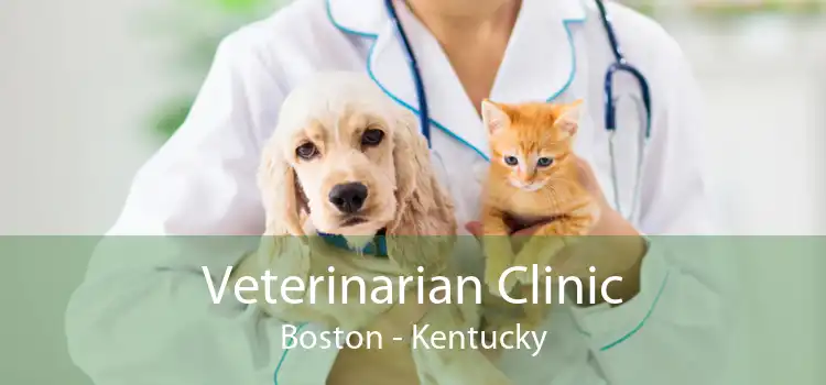 Veterinarian Clinic Boston - Kentucky