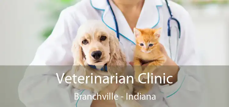 Veterinarian Clinic Branchville - Indiana