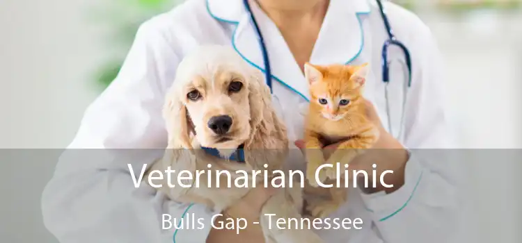 Veterinarian Clinic Bulls Gap - Tennessee