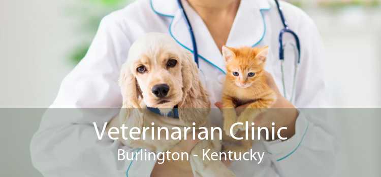 Veterinarian Clinic Burlington - Kentucky