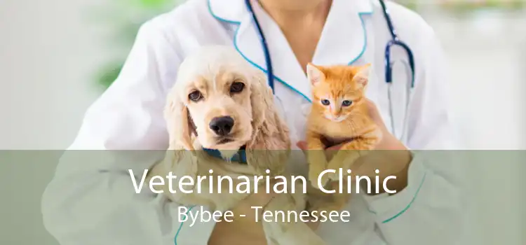 Veterinarian Clinic Bybee - Tennessee