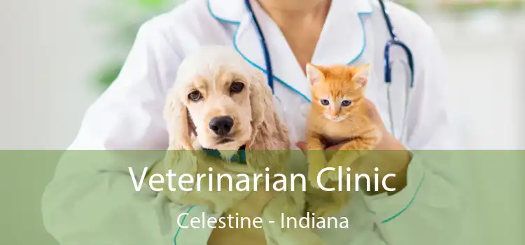 Veterinarian Clinic Celestine - Indiana