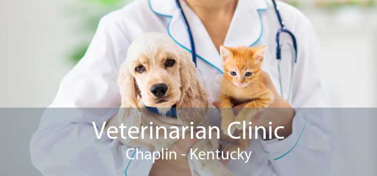 Veterinarian Clinic Chaplin - Kentucky