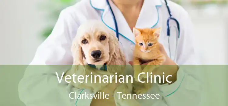 Veterinarian Clinic Clarksville - Tennessee