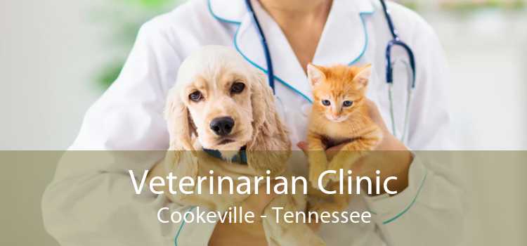 Veterinarian Clinic Cookeville - Tennessee