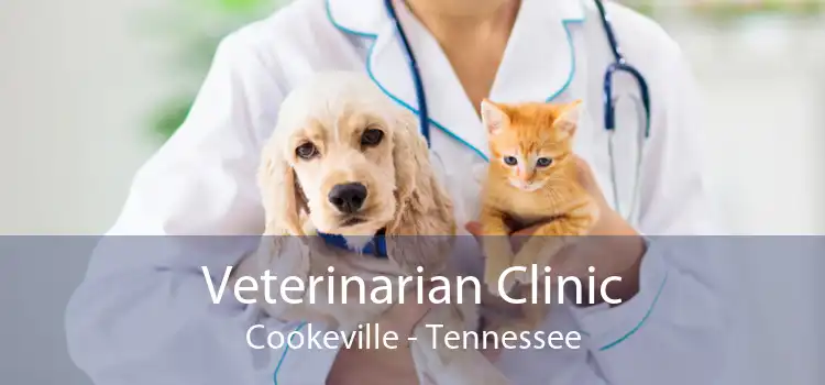 Veterinarian Clinic Cookeville - Tennessee