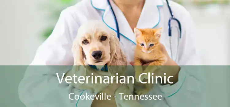 Veterinarian Clinic Cookeville - Tennessee