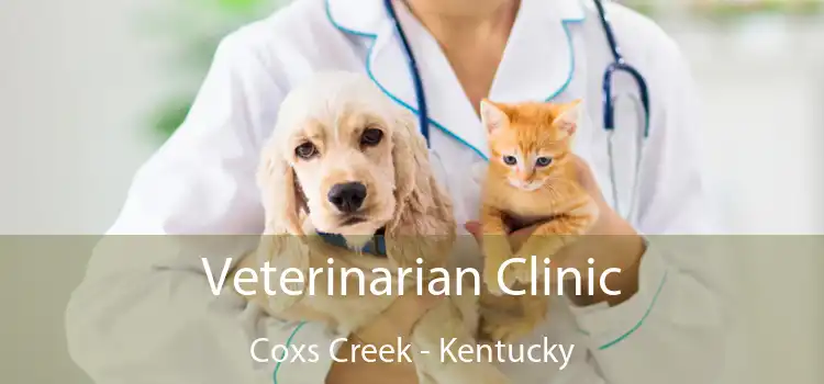 Veterinarian Clinic Coxs Creek - Kentucky