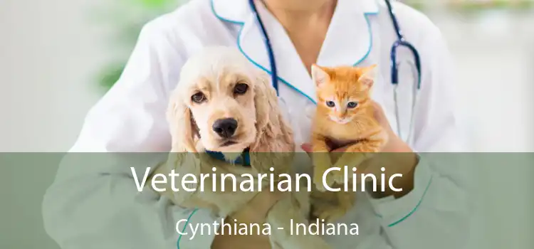 Veterinarian Clinic Cynthiana - Indiana