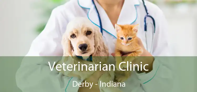 Veterinarian Clinic Derby - Indiana