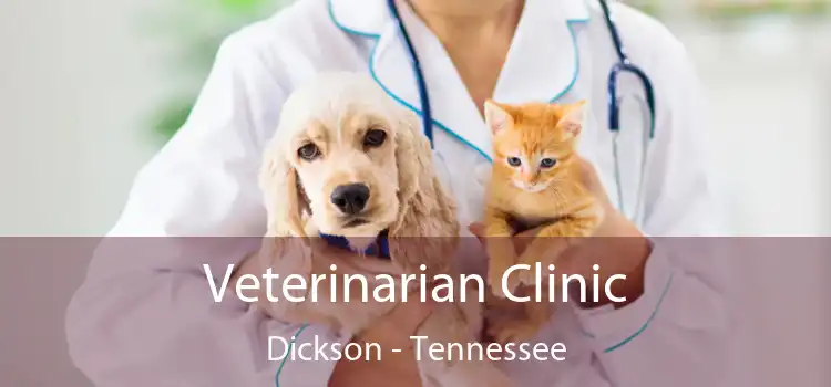 Veterinarian Clinic Dickson - Tennessee