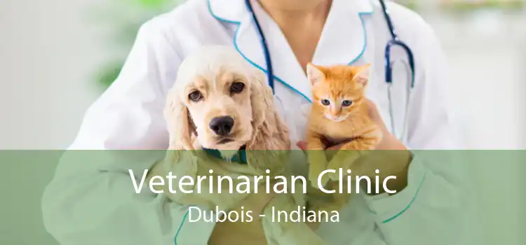 Veterinarian Clinic Dubois - Indiana