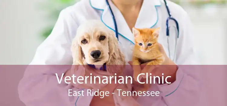 Veterinarian Clinic East Ridge - Tennessee