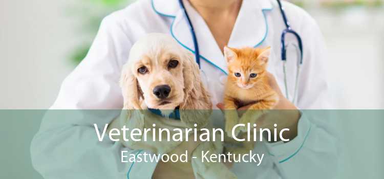 Veterinarian Clinic Eastwood - Kentucky