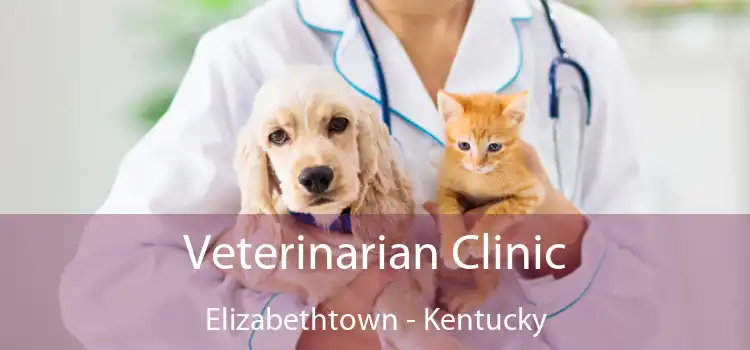 Veterinarian Clinic Elizabethtown - Kentucky