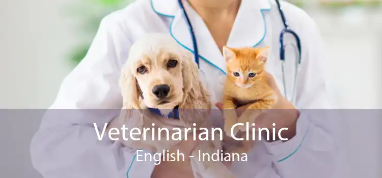 Veterinarian Clinic English - Indiana