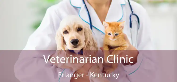 Veterinarian Clinic Erlanger - Kentucky