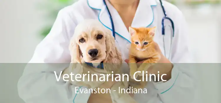 Veterinarian Clinic Evanston - Indiana
