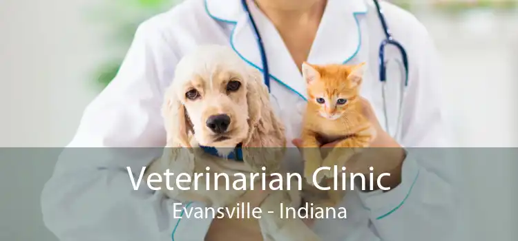 Veterinarian Clinic Evansville - Indiana