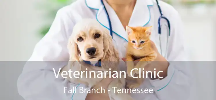 Veterinarian Clinic Fall Branch - Tennessee
