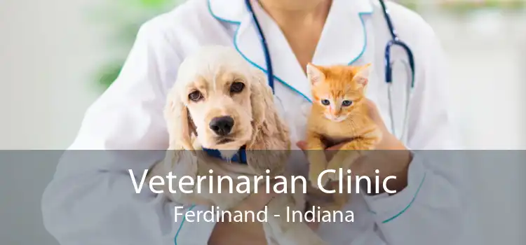 Veterinarian Clinic Ferdinand - Indiana