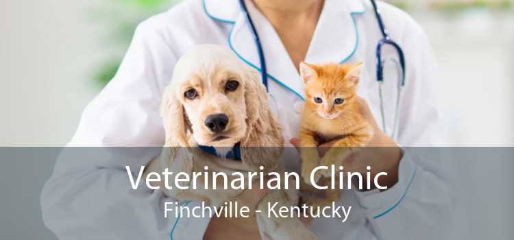 Veterinarian Clinic Finchville - Kentucky