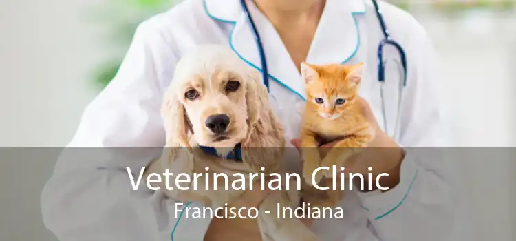 Veterinarian Clinic Francisco - Indiana