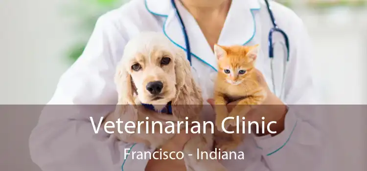 Veterinarian Clinic Francisco - Indiana