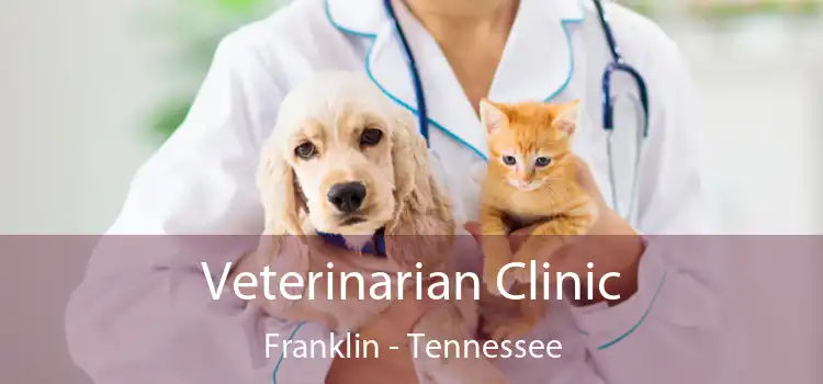 Veterinarian Clinic Franklin - Tennessee