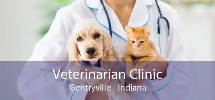 Veterinarian Clinic Gentryville - Indiana