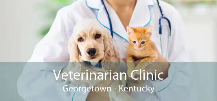 Veterinarian Clinic Georgetown - Kentucky