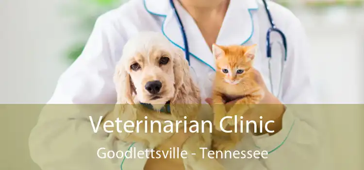 Veterinarian Clinic Goodlettsville - Tennessee