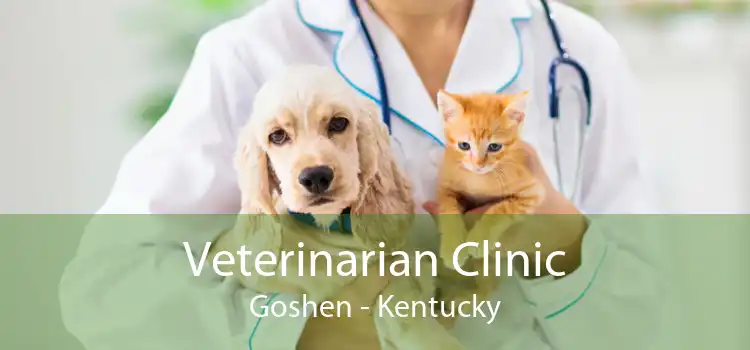 Veterinarian Clinic Goshen - Kentucky
