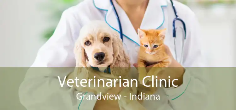 Veterinarian Clinic Grandview - Indiana