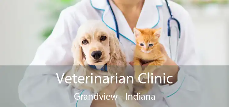 Veterinarian Clinic Grandview - Indiana