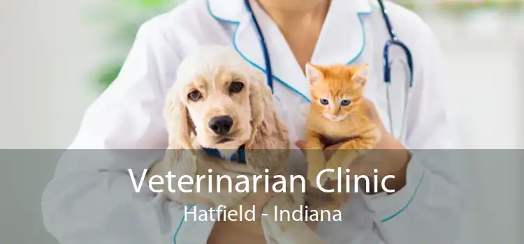 Veterinarian Clinic Hatfield - Indiana