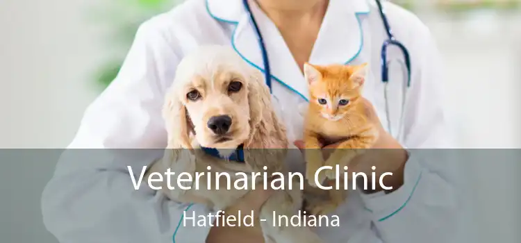 Veterinarian Clinic Hatfield - Indiana