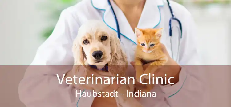 Veterinarian Clinic Haubstadt - Indiana