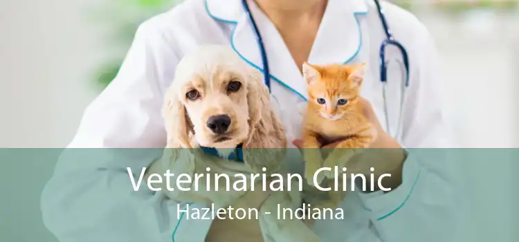 Veterinarian Clinic Hazleton - Indiana