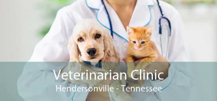 Veterinarian Clinic Hendersonville - Tennessee