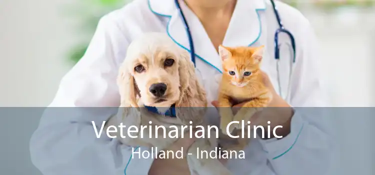 Veterinarian Clinic Holland - Indiana