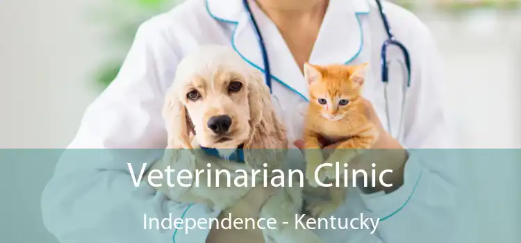 Veterinarian Clinic Independence - Kentucky