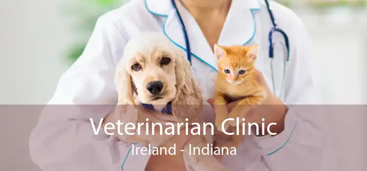 Veterinarian Clinic Ireland - Indiana